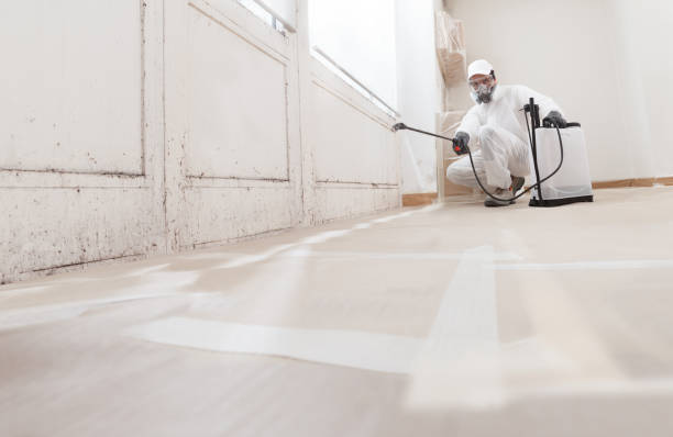 24/7 Emergency Mold Remediation experts in Dumfries, VA