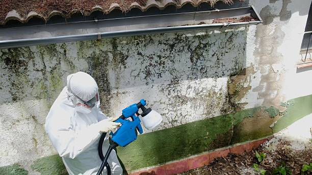 Top rated local Mold Remediation specialists in Dumfries, VA